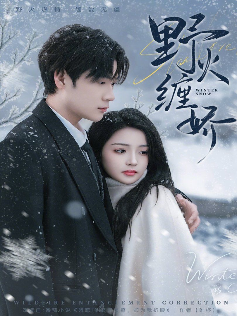 野火缠娇(全集)